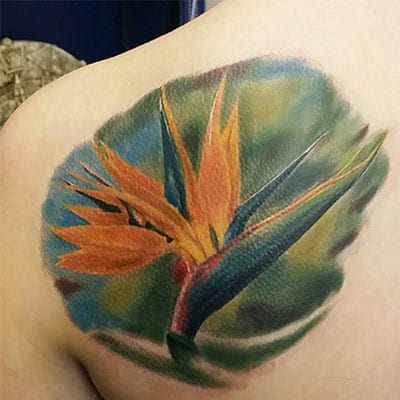COLOR TATTOOS